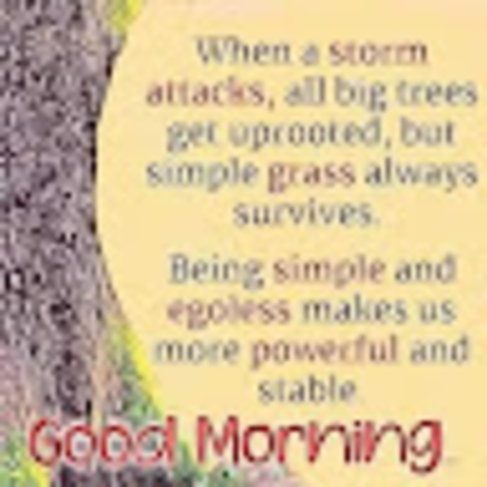 Meet your Posher, Tash